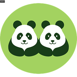 Twin Finance